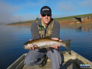 A trout out of Trelevans